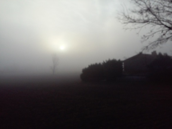 20160319_073809