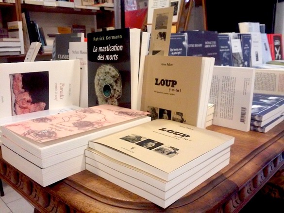 Loup en librairie